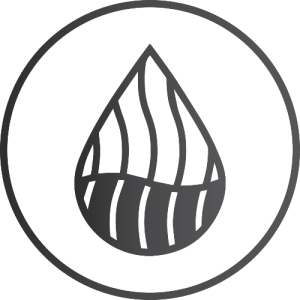SOVIKI - Sous Vide Kitchen, Virtuvė, Vilnius